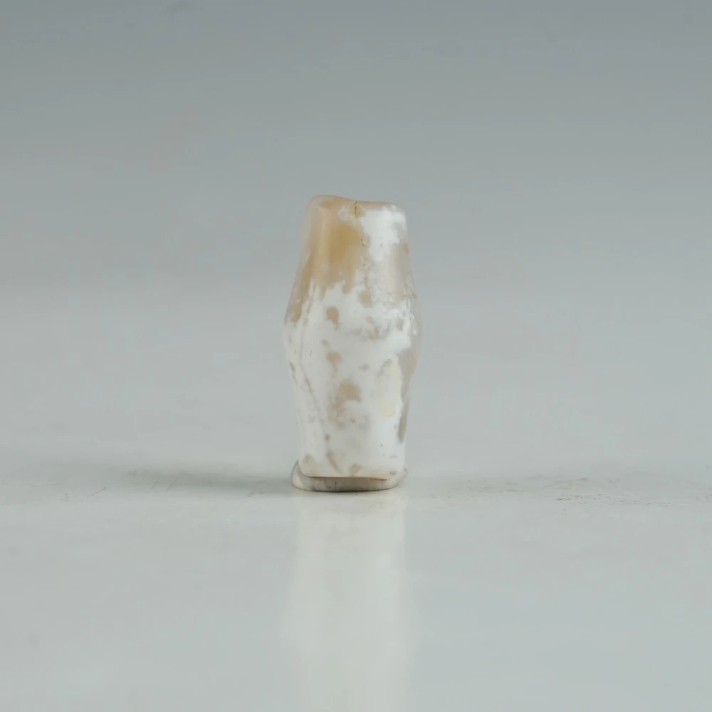 lot92443 清代 灰皮竹节管珠