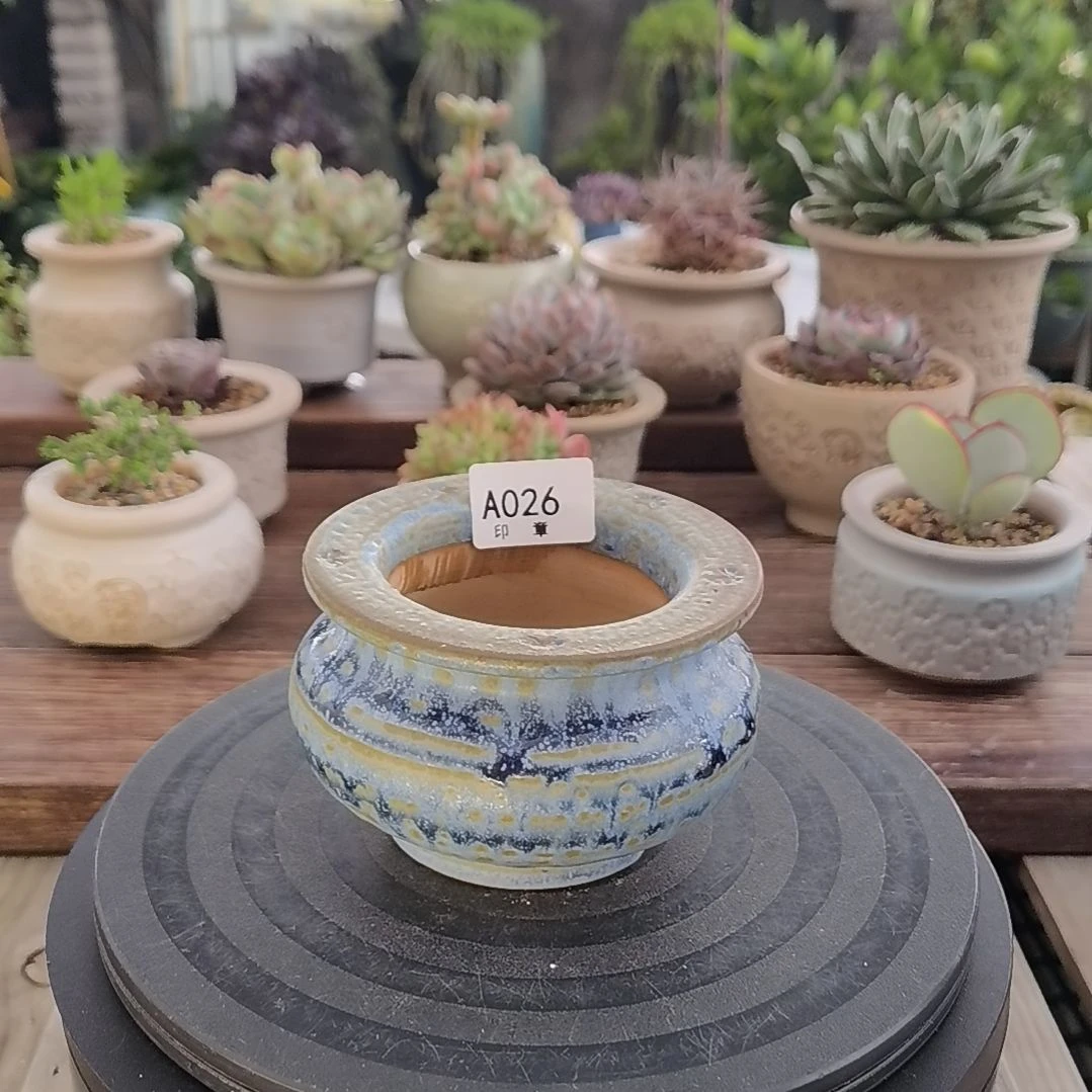 印章多肉花盆A026