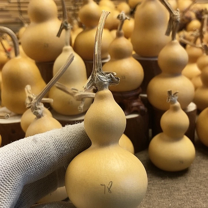 文玩葫芦 完美主义者 慎拍78