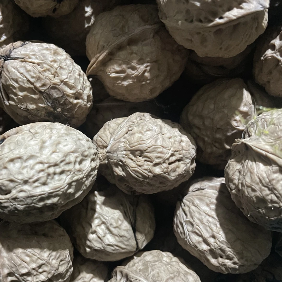 云南百年老树核桃干核桃湿核桃