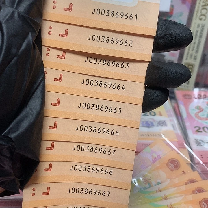 003869661龙钞无四七金耳王金墩墩豹子666标十裸钞