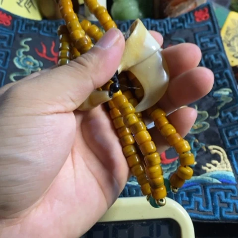 大哥专拍链接一号