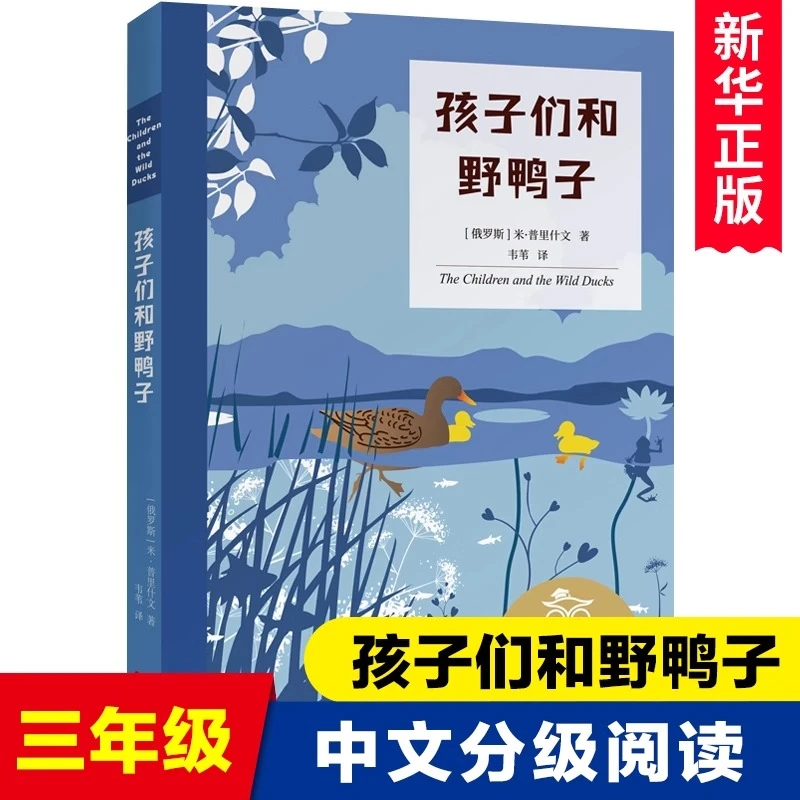 孩子们和野鸭子 中文分级阅读K3 三年级小学生课外阅读书籍