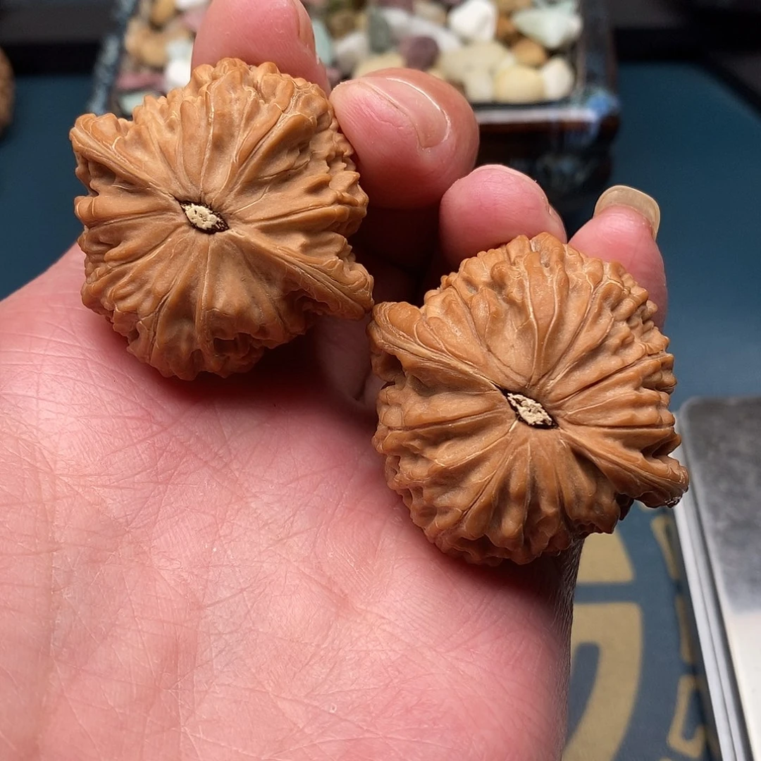 文玩核桃磨盘40全品