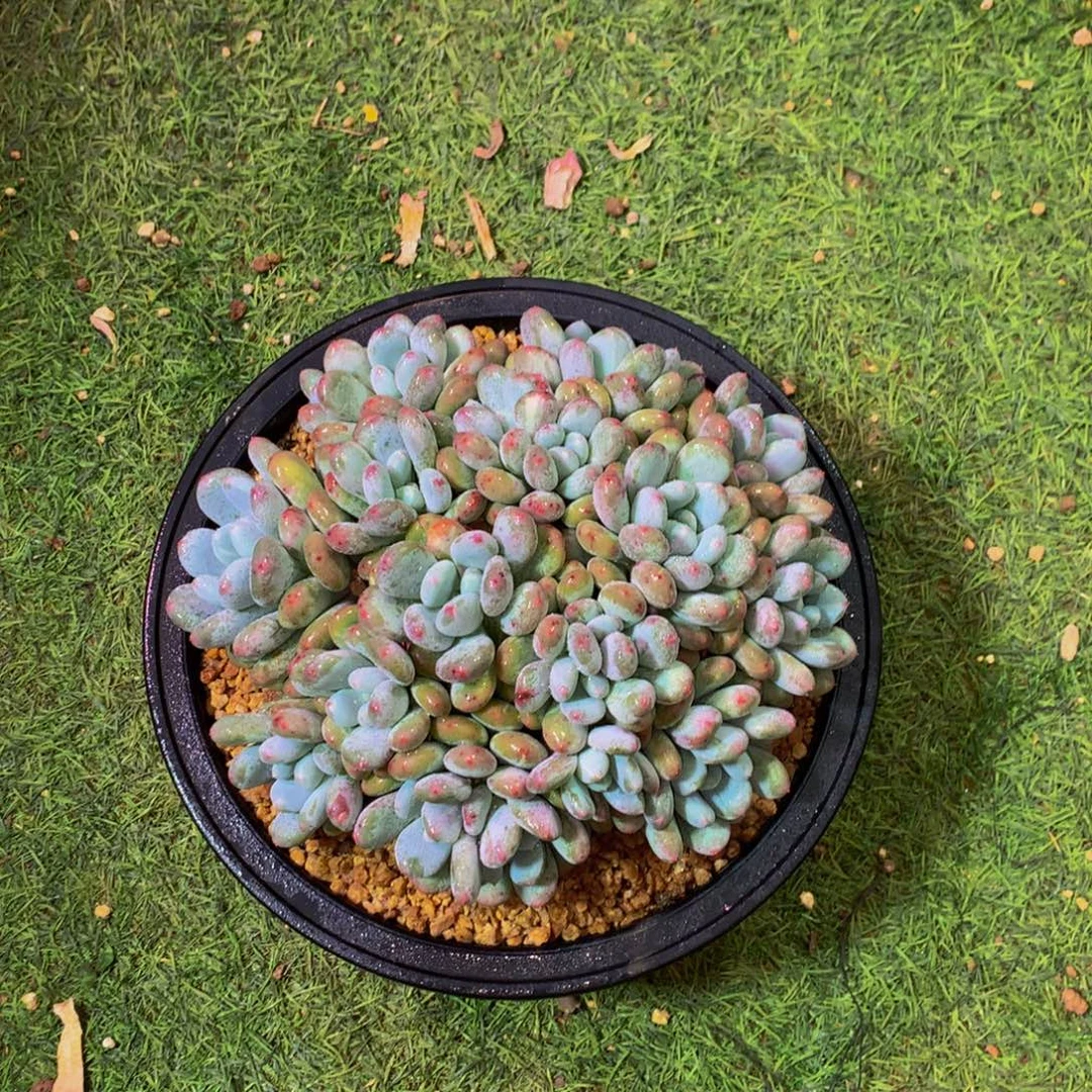 嘎***儿哈哈哈哈哈哈哈哈哈哈