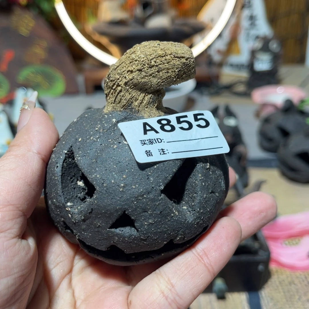 木村信弘柴烧保平