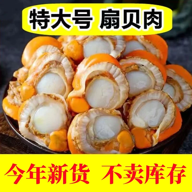 【到手五斤】当季新货无泥无沙新鲜熟冻扇贝肉炒菜饱满去壳