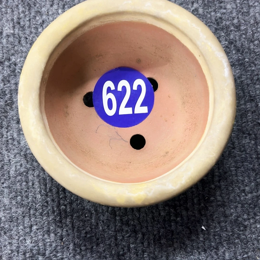 x***p对你的喜欢就如同这日子只增不减622