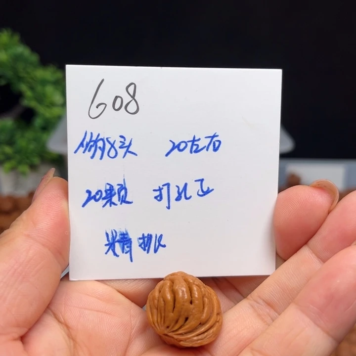 手串桃核豹子头20左右20