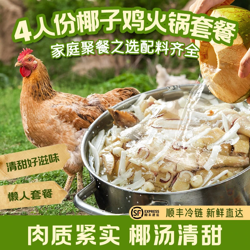 酷可椰 海南椰子鸡火锅鲜椰汤底散养走地鸡鲜享原汁原味顺丰冷链
