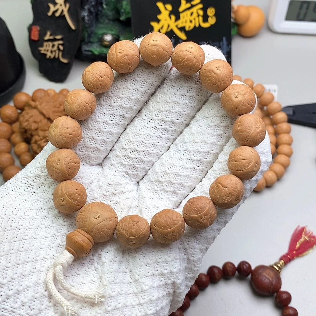 吊坠凤眼菩提14尺寸龙眼