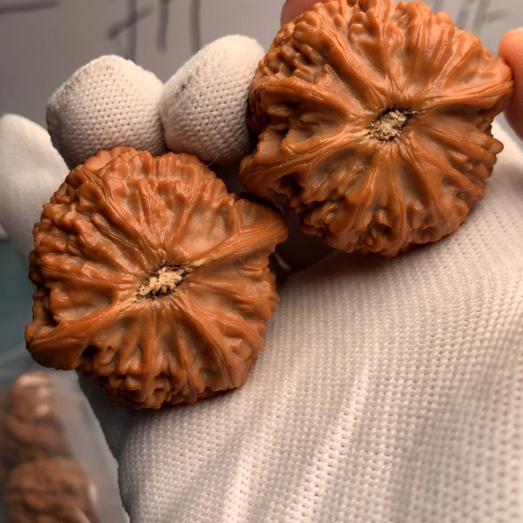 A***n宫灯40年来最多用在