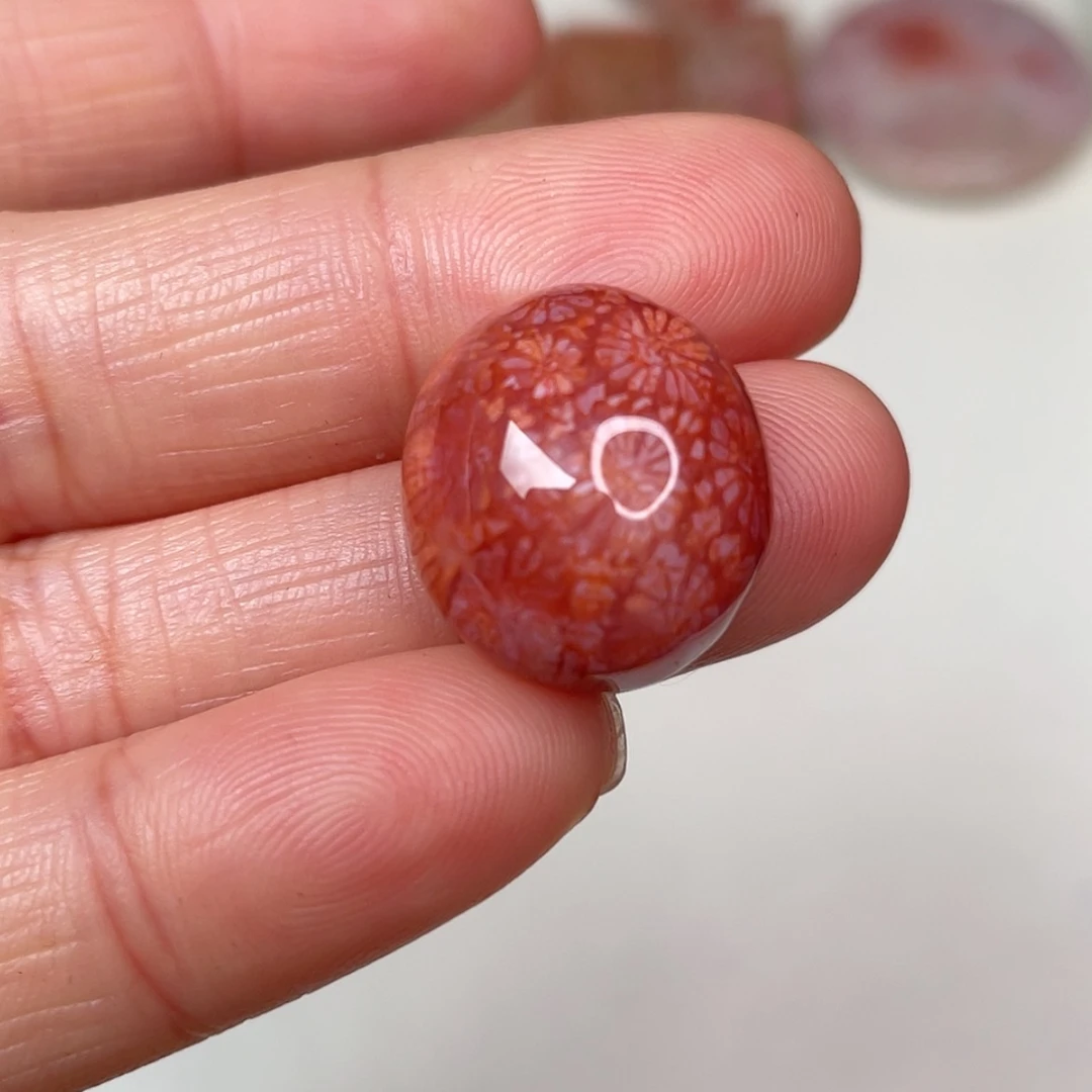 【闪购商品】未镶嵌吊坠(赠链)硅化玉