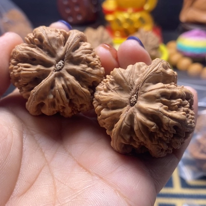 小***又文玩核桃吊坠粗筋