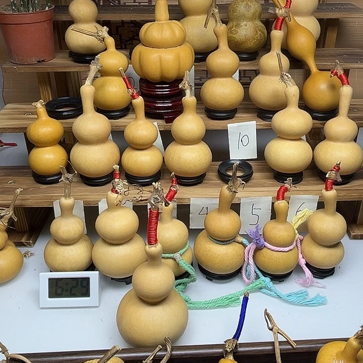 金***金啦啦啦啦啦啦啦啦