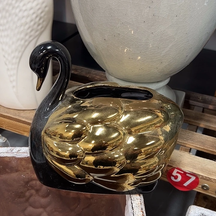 5555896996966666669666