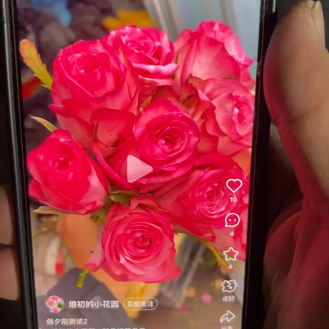 无花朵——-俏夕阳 测试2