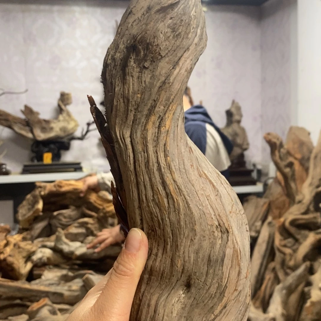 柏木潇***生我们都是好孩子
