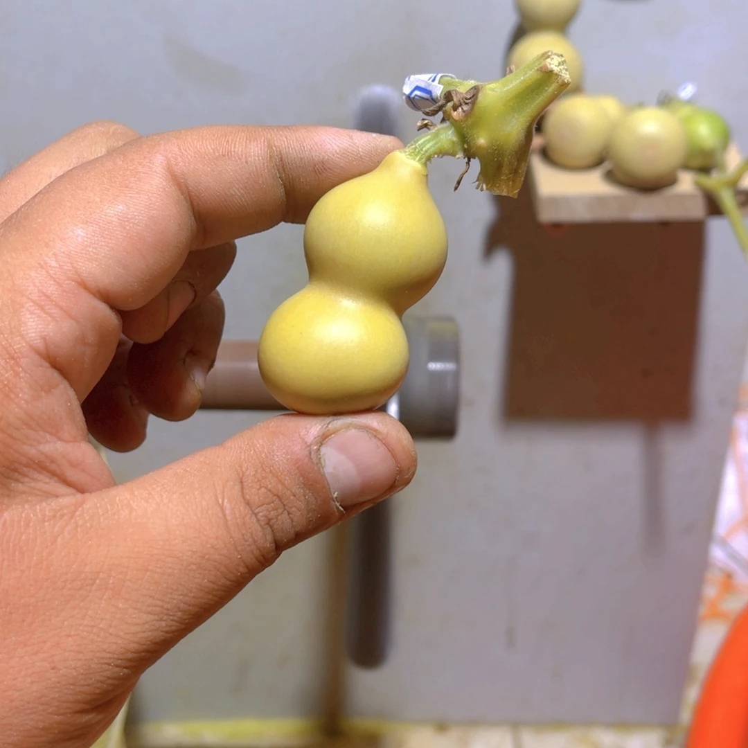 辰***西这个时候才会明白为什么有时候