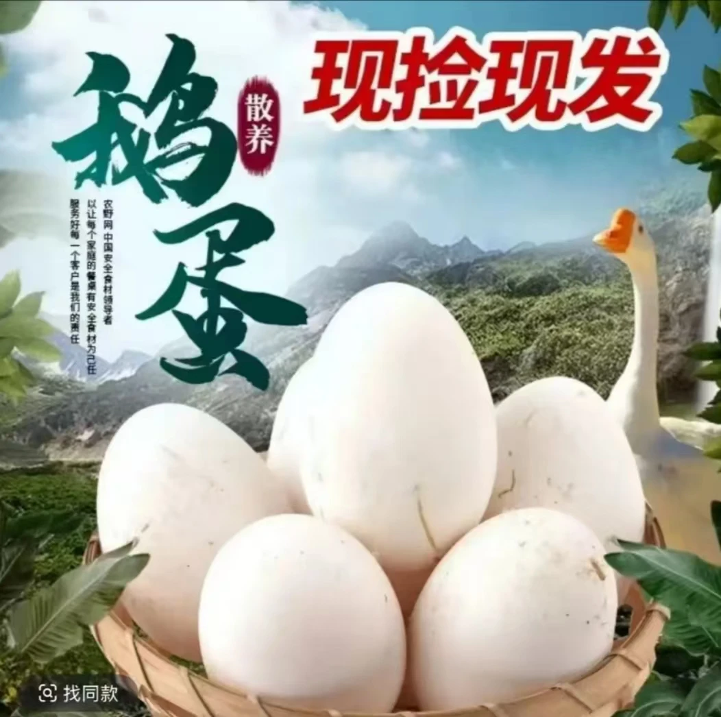 【买十枚送十枚】土鹅蛋农家散养雁鹅蛋新鲜现捡80-100g左右