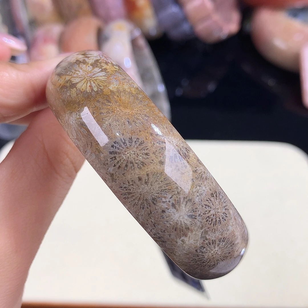 吊坠(赠链)未镶嵌硅化珊瑚（珊瑚玉）37 号54.1圈