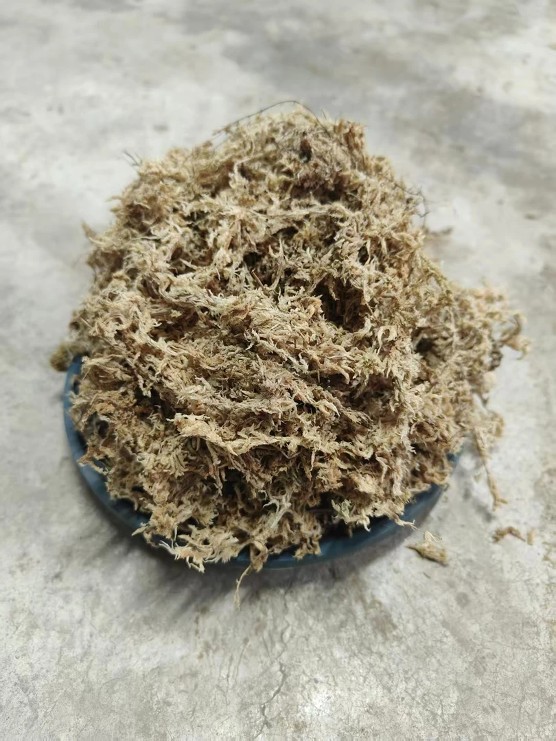 干苔藓水苔兰花蝴蝶兰石斛种植营养土改良土壤植料乌龟爬宠垫材