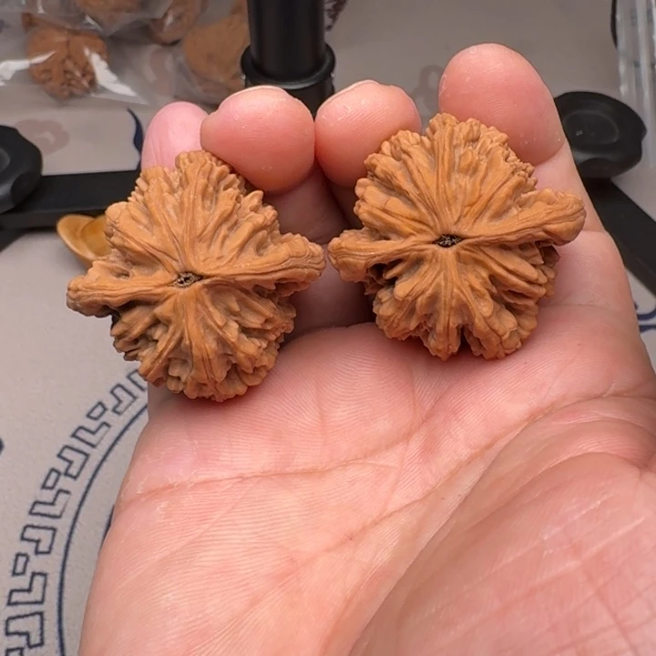 桃核把件山地麦虎41尺5