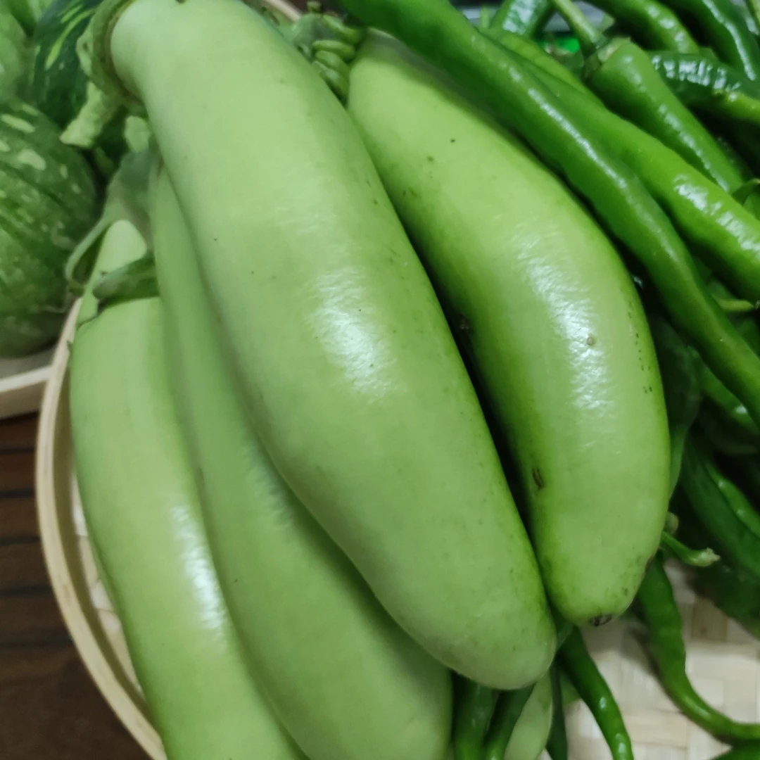 （顺丰包邮）湖南攸县鸾山镇本地农家现摘现发货的新鲜黄瓜蔬菜