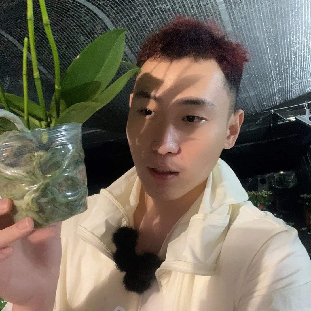 无花朵祥云3花剑