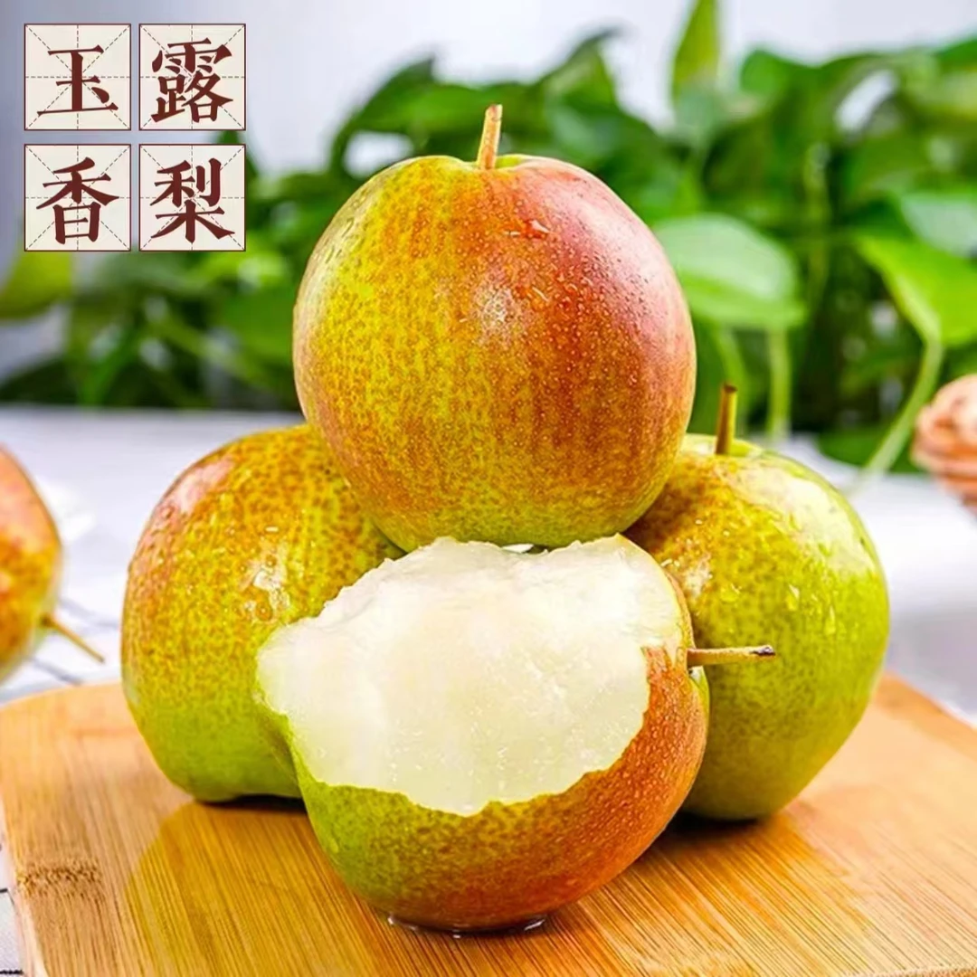 玉露香梨新鲜应季香甜多汁口感脆爽