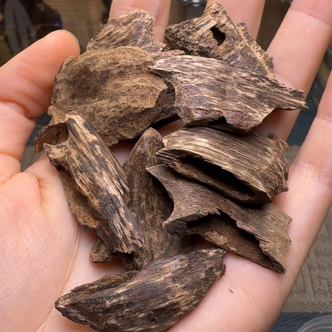 中***心木海南霸王岭沉水老料11克