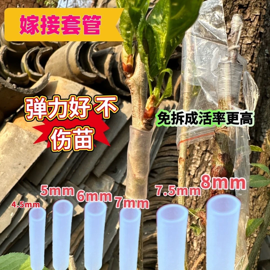 嫁接套管果树花卉百香果月季三角梅嫁接专用套管