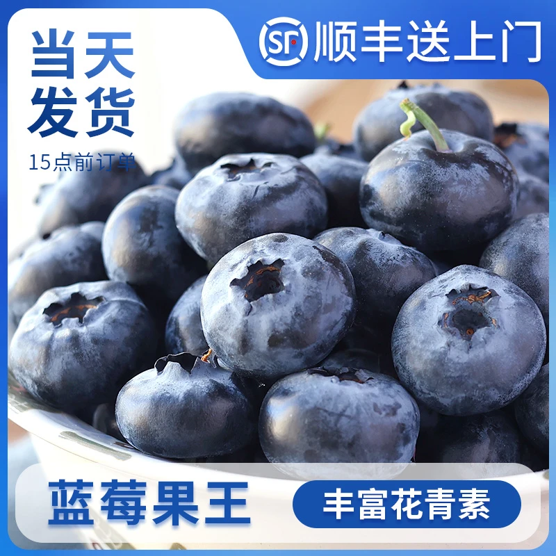 【蓝莓果王】正宗云南25花香蓝莓现摘当季水果孕妈妈小朋友水果