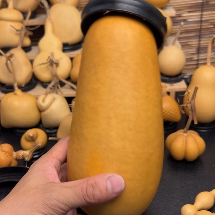 蓝*2366666666666699666