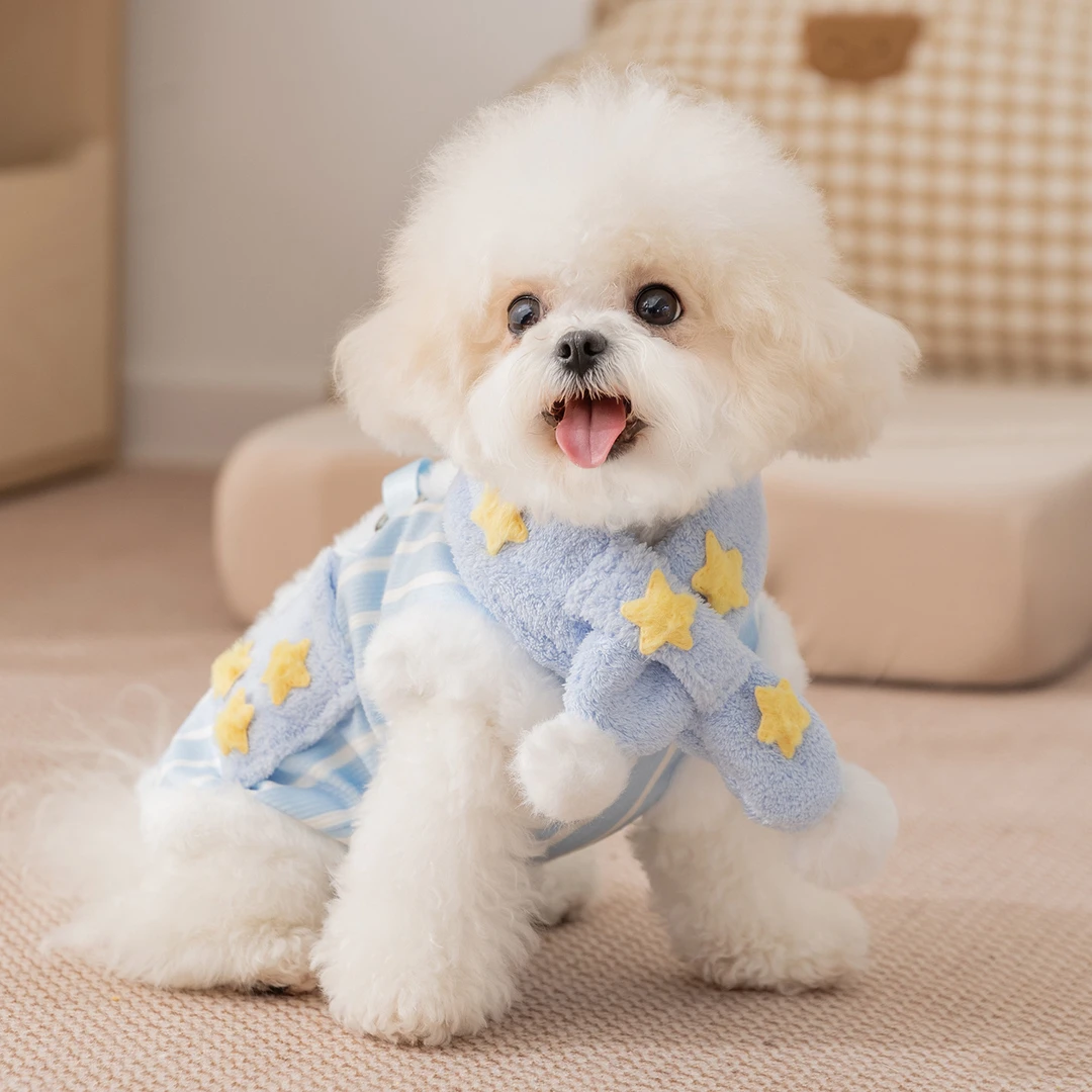 狗狗衣服满天星带围巾牵引马甲小型犬秋冬款加绒两脚绒衣宠物衣服