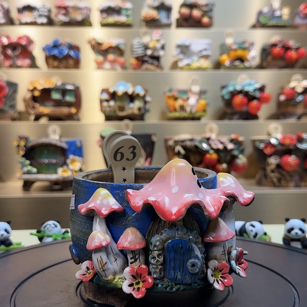 犇***检63 【闪购】多肉花盆