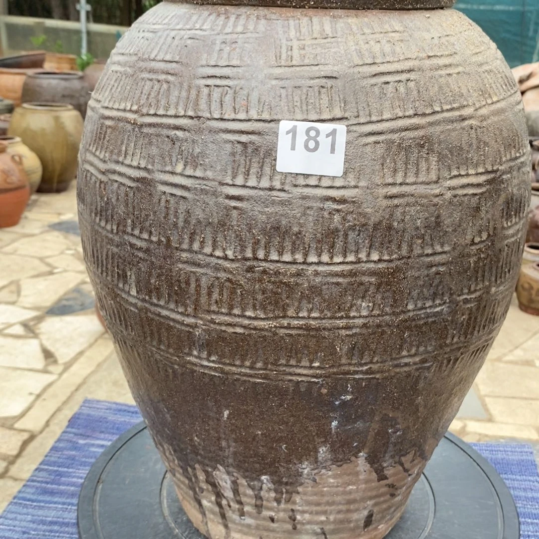 黄***紫罐养花养花养花养草养花