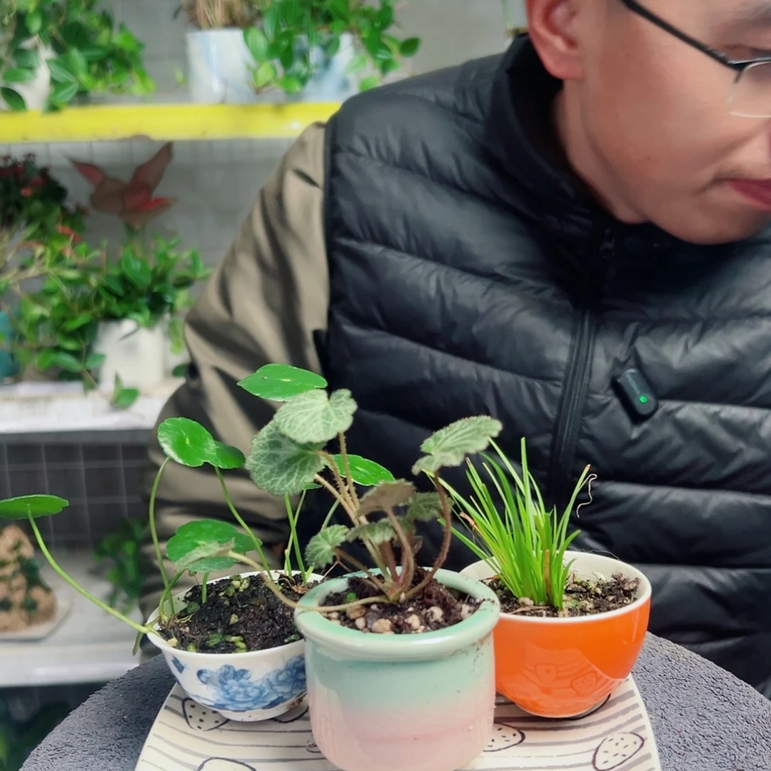 浪***人无花朵31