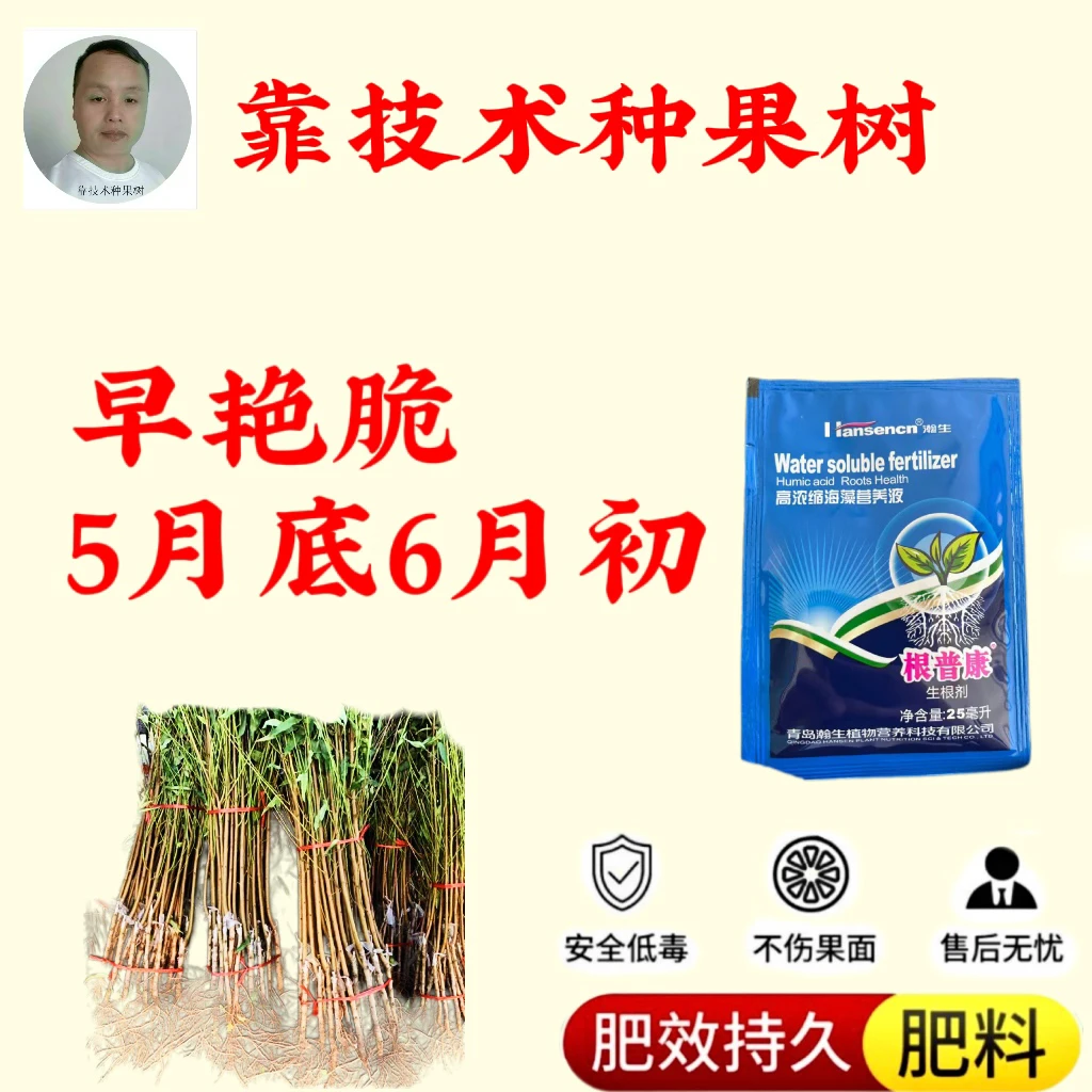 早艳翠优质品种，开始预定增产肥料