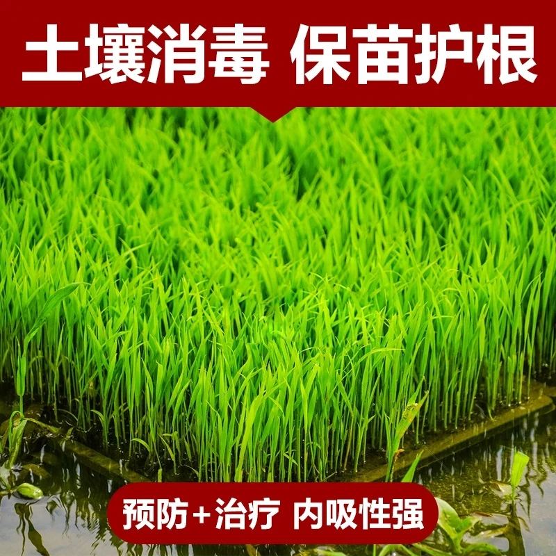 【粉丝专享】水稻育秧苗床青枯立枯死苗烂根抗性正品适用有机质肥料