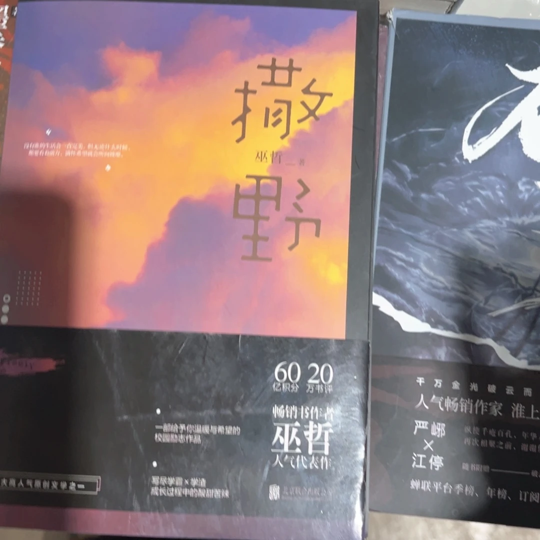 撒野新书全套福利