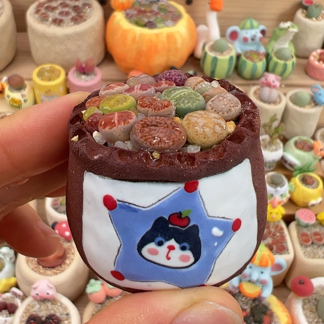 多肉植物17号彩色