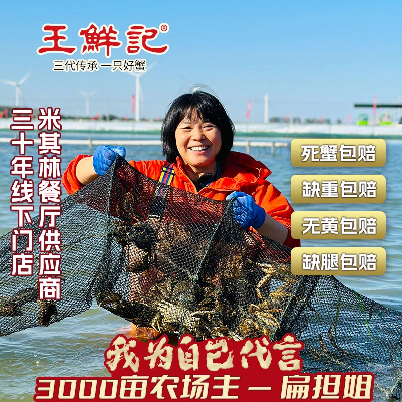 【活蟹赏味】公蟹3.5～3.8两到手8只扁担姐大闸蟹