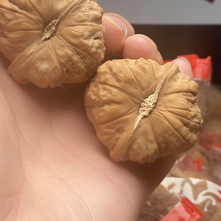 无花朵哈哈哈哈哈哈哈哈