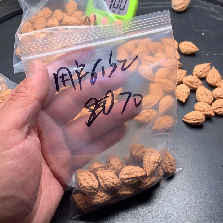 文玩核桃吊坠用****2野生精品小核桃散籽