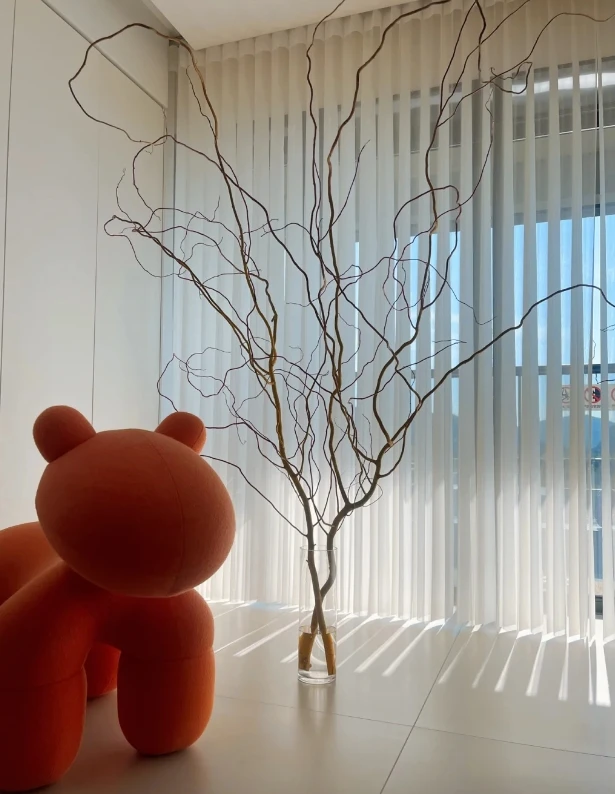 【新疆花之溪】龙柳枝1把