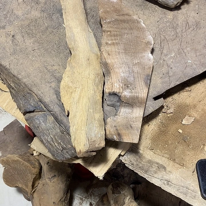 乌木类画*金丝楠木小叶