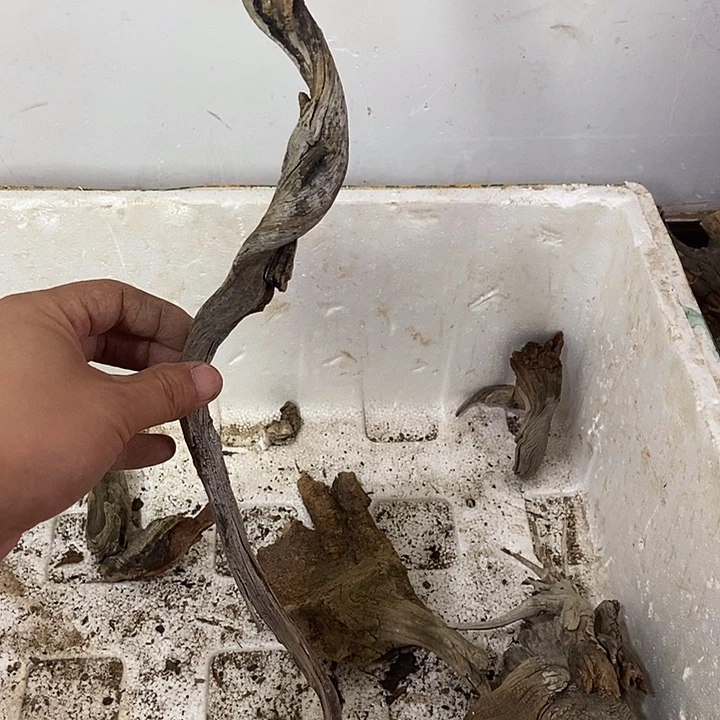 高***平柏木（崖柏）崖柏根雕天然艺术