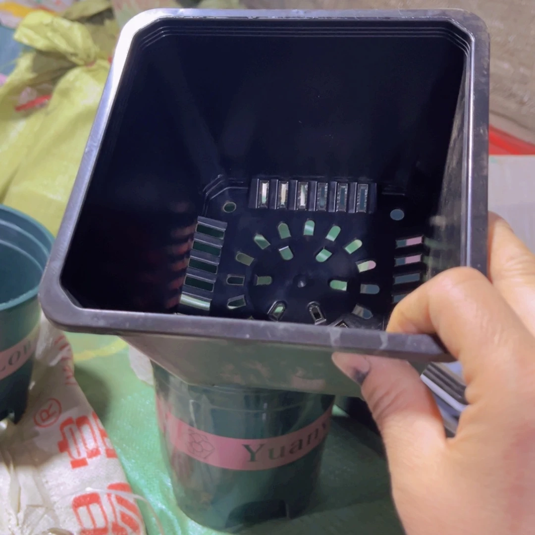 塑料新16公分黑方盆15个