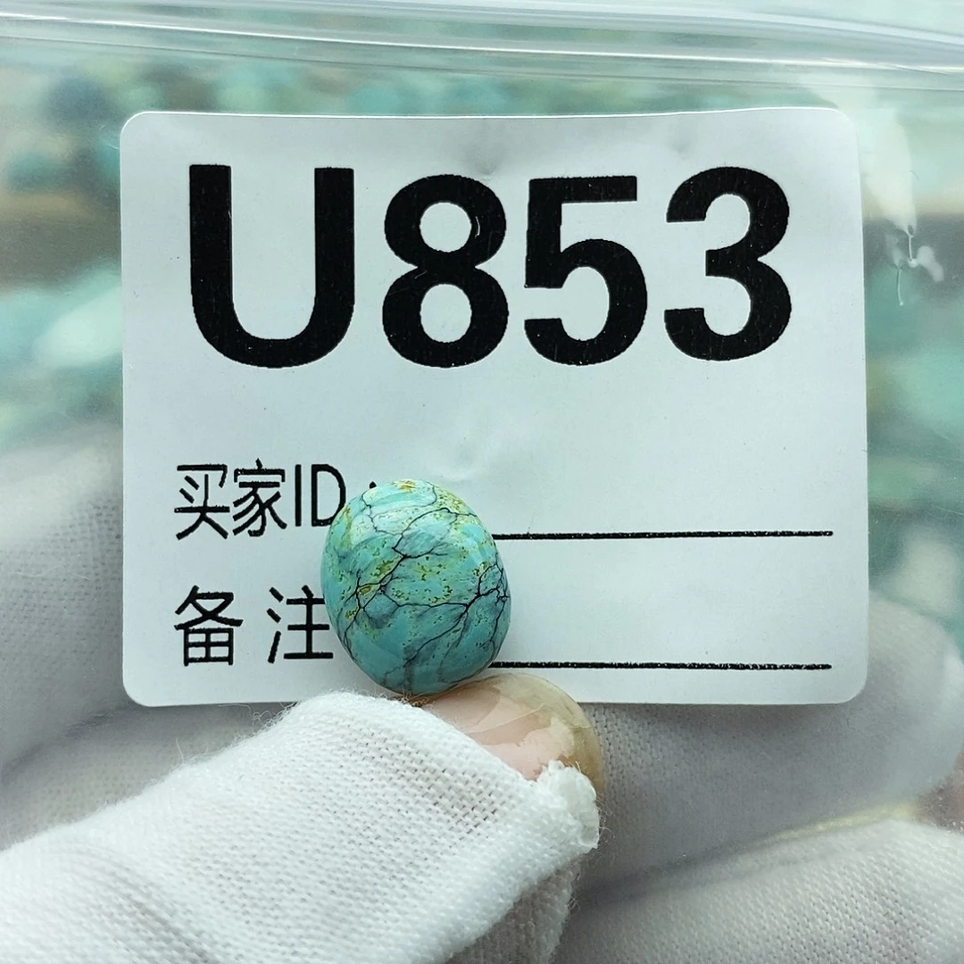 未镶嵌绿松石配饰